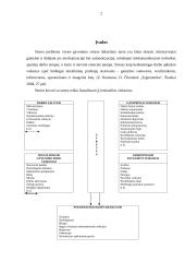 Stresai ir jų valdymo būdai 2 puslapis