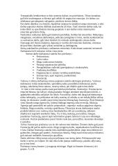 Darbo veiksniai , galintys sukelti stresą  3 puslapis