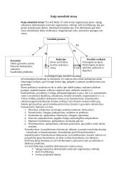 Darbo veiksniai , galintys sukelti stresą  5 puslapis