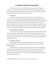 Stresas. jo priežastys bei požymiai 4 puslapis