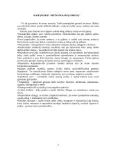 Kasdienis stresas ir sveikata 4 puslapis