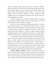 Streso neigiama įtaka sveikatai 4 puslapis