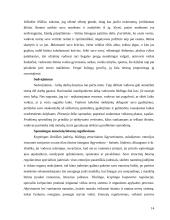 Stresas vadovo darbe 13 puslapis