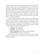 Stresas vadovo darbe 14 puslapis