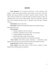 Stresas vadovo darbe 2 puslapis