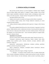 Stresas vadovo darbe 5 puslapis