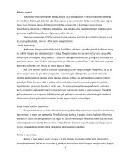 Stresas, jo įveikimo galimybės 8 puslapis