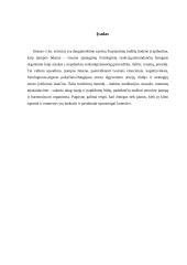 Streso įveikimo būdai - atsipalaidavimo technika 2 puslapis