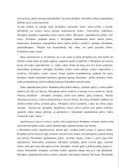 Streso įveikimo būdai - atsipalaidavimo technika 6 puslapis