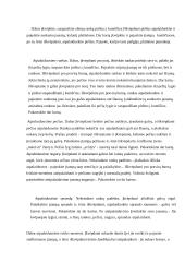 Streso įveikimo būdai - atsipalaidavimo technika 8 puslapis