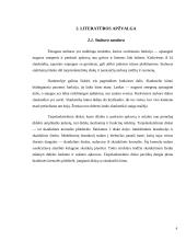 Stuburo iškrypimų tyrimas mokykloje 4 puslapis