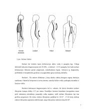 Stuburo iškrypimų tyrimas mokykloje 7 puslapis