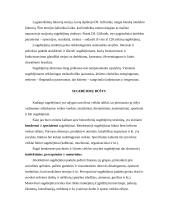 Sugebėjimai ir gabumai 4 puslapis