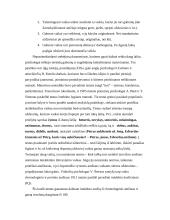 Sugebėjimai ir gabumai 6 puslapis