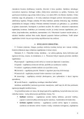 Sugebėjimų samprata ir prigimtis. Intelektas 6 puslapis