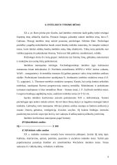 Sugebėjimų samprata ir prigimtis. Intelektas 9 puslapis