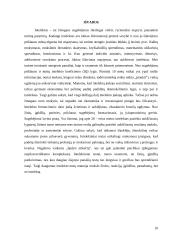 Sugebėjimų samprata ir prigimtis. Intelektas 10 puslapis