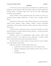 Sutarties analizė 2 puslapis