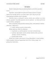 Sutarties analizė 11 puslapis