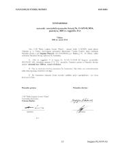 Sutarties analizė 13 puslapis