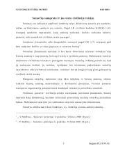 Sutarties analizė 3 puslapis