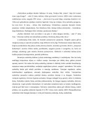 Svarbiausios problemos (valkatavimas, narkomanija). Priežastys. Identifikacija 11 puslapis