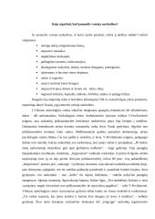 Svarbiausios problemos (valkatavimas, narkomanija). Priežastys. Identifikacija 12 puslapis