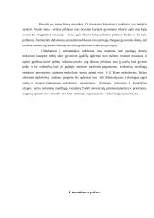 Svarbiausios problemos (valkatavimas, narkomanija). Priežastys. Identifikacija 19 puslapis