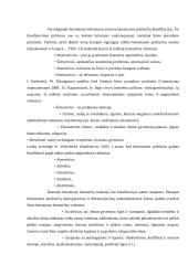 Svarbiausios problemos (valkatavimas, narkomanija). Priežastys. Identifikacija 7 puslapis