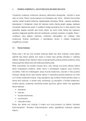 Šeimos problemas reguliuojantys dokumentai 2 puslapis