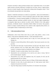 Šeimos problemas reguliuojantys dokumentai 6 puslapis