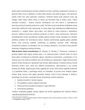 Šeimos psichologinis konsultavimas 5 puslapis