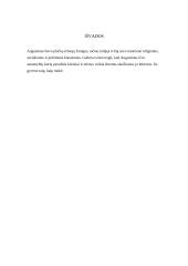 Šventasis Augustinas: politinės ir socialinės idėjos 8 puslapis