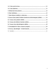 Tamsaus alaus technologija 2 puslapis