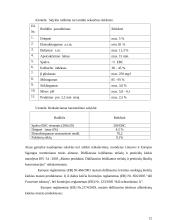 Tamsaus alaus technologija 11 puslapis