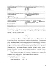 Tamsaus alaus technologija 12 puslapis