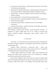 Tamsaus alaus technologija 14 puslapis