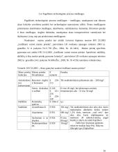 Tamsaus alaus technologija 17 puslapis