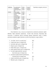 Tamsaus alaus technologija 18 puslapis