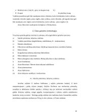 Tamsaus alaus technologija 19 puslapis