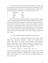 Tamsaus alaus technologija 20 puslapis