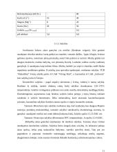Tamsaus alaus technologija 10 puslapis