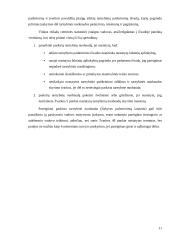 Tarnybinių patikrinimų atlikimo tvarka 11 puslapis