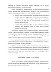 Tarnybinių patikrinimų atlikimo tvarka 8 puslapis