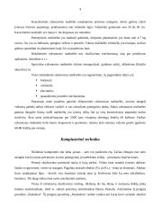 Techninės dokumentų rengimo priemonės 2 puslapis