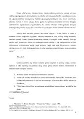 Teisinės valstybės modeliai 8 puslapis