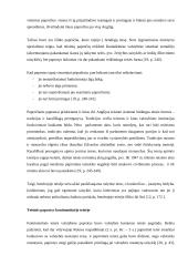 Teisinio papročio reikšmė teisiniam reguliavimui 7 puslapis