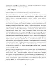 Teisnumas ir veiksnumas 13 puslapis