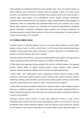 Teisnumas ir veiksnumas 14 puslapis