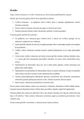 Teisnumas ir veiksnumas 16 puslapis